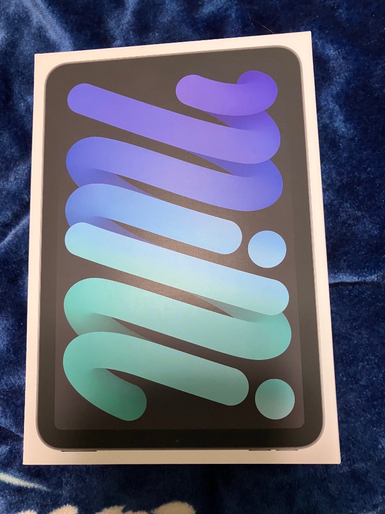 iPad mini 8.3インチ 第7世代(2024)A17 Wi-Fi 128GB MXN63J/A