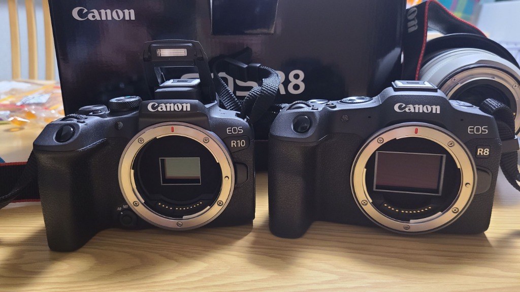 Canon EOS R8 ボディ【お取り寄せ商品（3週間から4週間程度での入荷