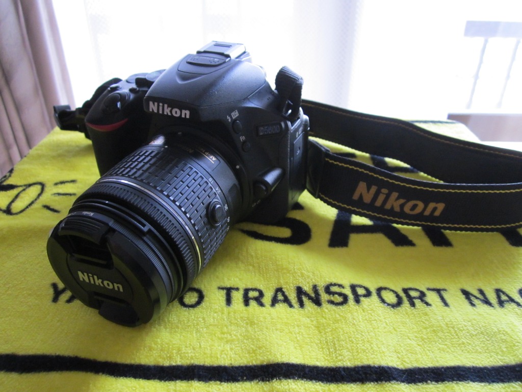 ニコン（Nikon） Nikon D5600 レンズキット デジタル 一眼レフ カメラ