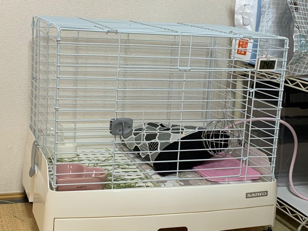 イージーホーム うさぎケージ 三晃商会 イージーホーム・エボ60 WH