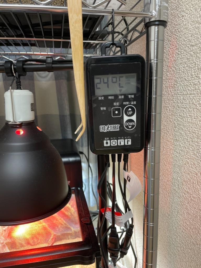 GEX（ジェックス） エキゾテラ タイマーサーモ RTT−1 爬虫類