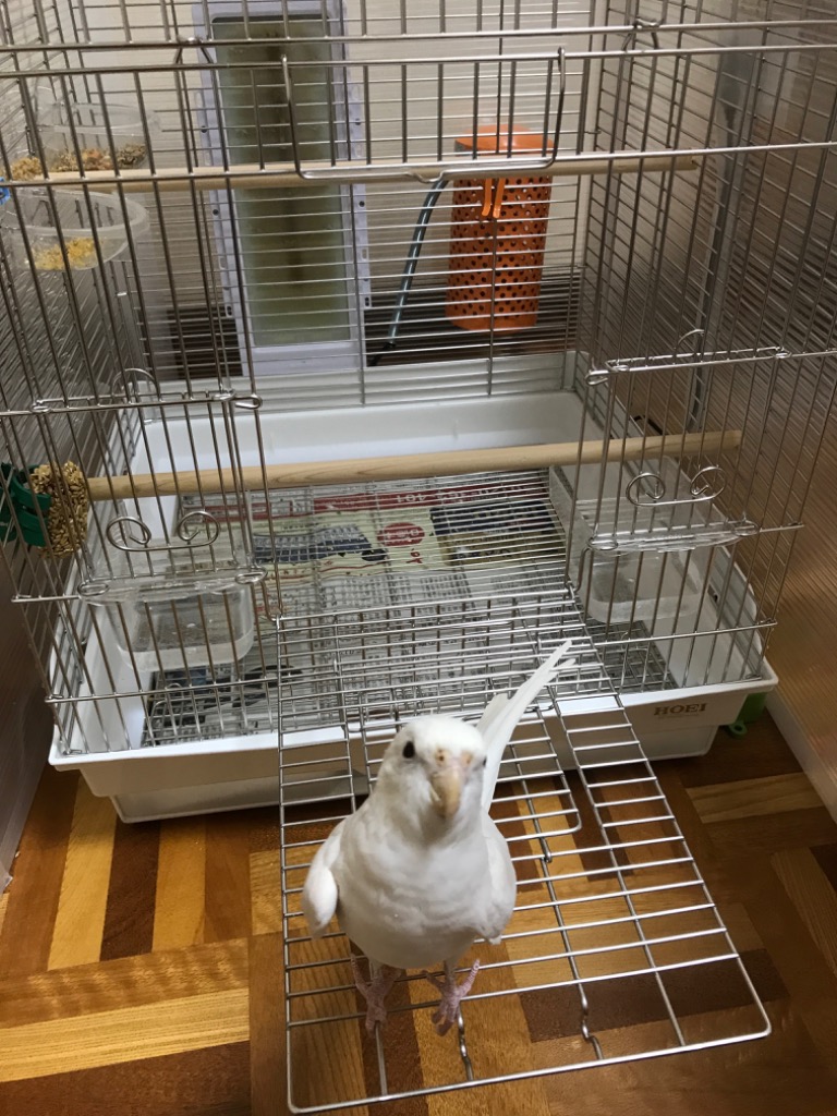 HOEI 鳥かご 465オカメステンレス ホワイト （46．5×46．5