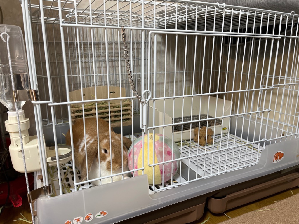うさぎケージ マルカン うさぎのカンタンおそうじケージ ワイドB