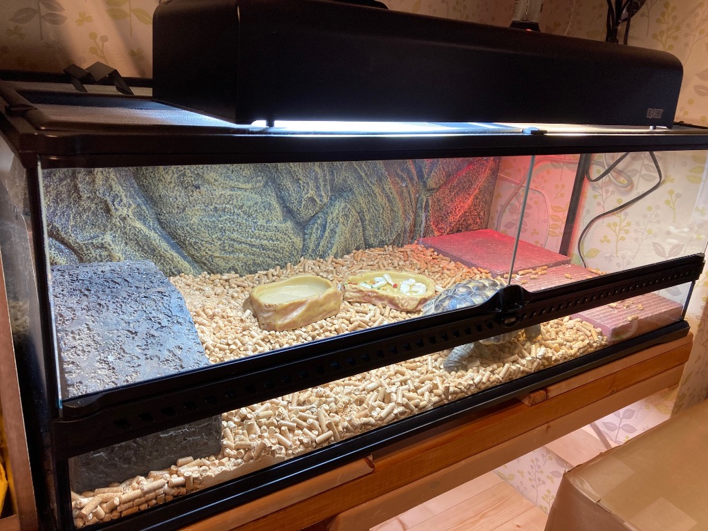 GEX（ジェックス） （大型）爬虫類ケージ エキゾテラ グラステラリウム