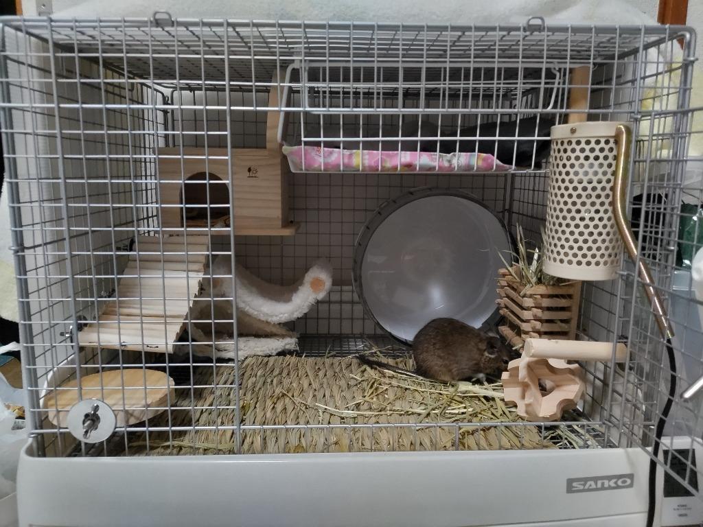 イージーホーム うさぎケージ 三晃商会 SANKO イージーホーム60