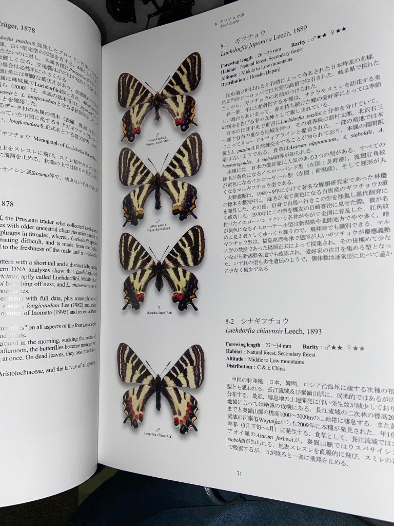 世界のアゲハチョウ図説 : チャーム charm ヤフー店 - 通販 - Yahoo