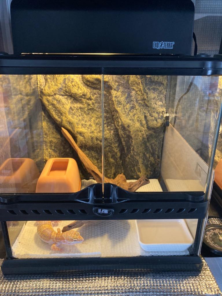 EXO TERRA 3030 ミニワイドグラステラリウム EXO TERRA 3030 ミニ