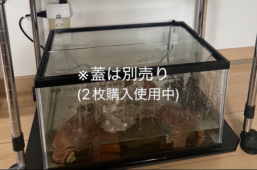 GEX（ジェックス） カメの楽園 450 カメ元気 カメ飼育セット お一