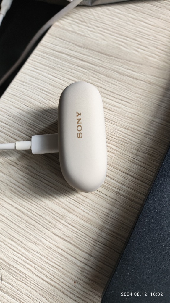 SONY（ソニー） 純正 WF-1000XM5 付属 充電ケース プラチナシルバー