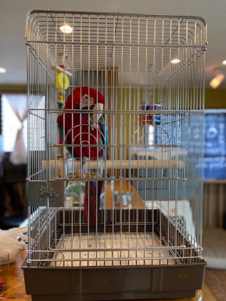 HOEI 鳥かご 915オウムステンレス - 最安値・価格比較 - Yahoo