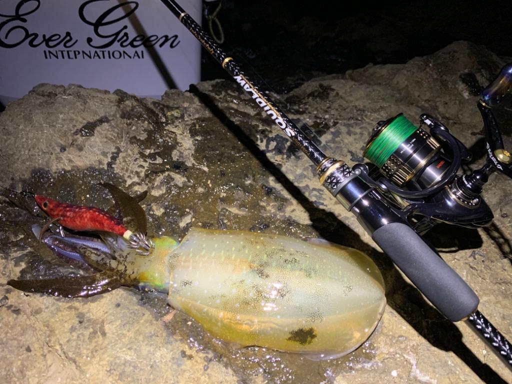 EverGreen（エバーグリーン） スキッドロウ インペリアル NIMS-77SL