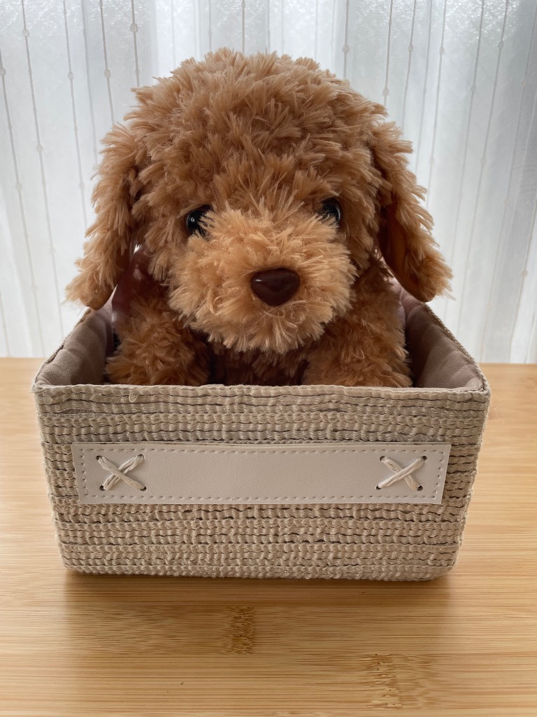 おしゃべりトイプードル しゃべる犬 ぬいぐるみ 音声認識人形 高齢者