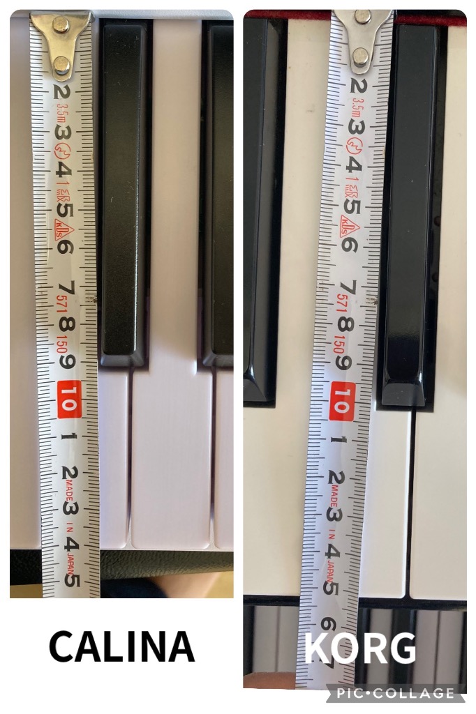 Carina 折りたたみ式88鍵盤 電子ピアノ ZE0088（ブラック） 電子ピアノ