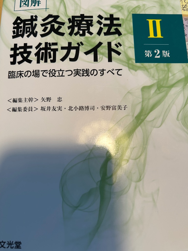 図解鍼灸療法技術ガイド 臨床の場で役立つ実践のすべて 2 （第2版