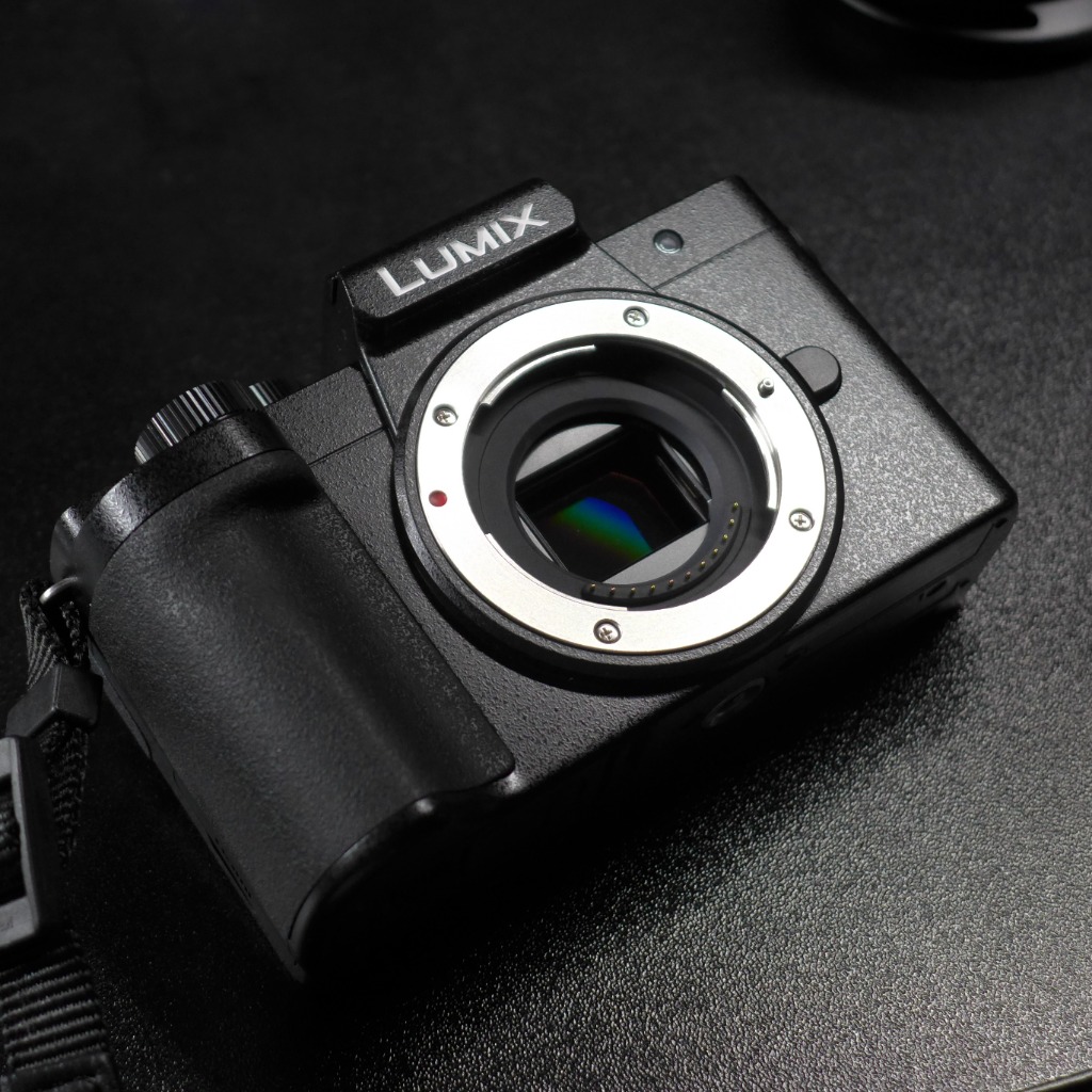 LUMIX Panasonic パナソニック ミラーレス一眼カメラ DC-G100D ボディ