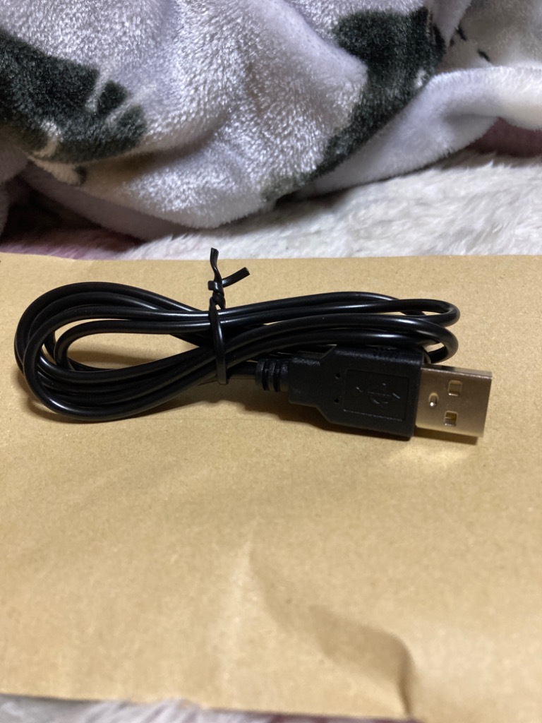 任天堂 3DS本体用USB充電器ケーブル 1本 : クルミ商店 - 通販 - Yahoo