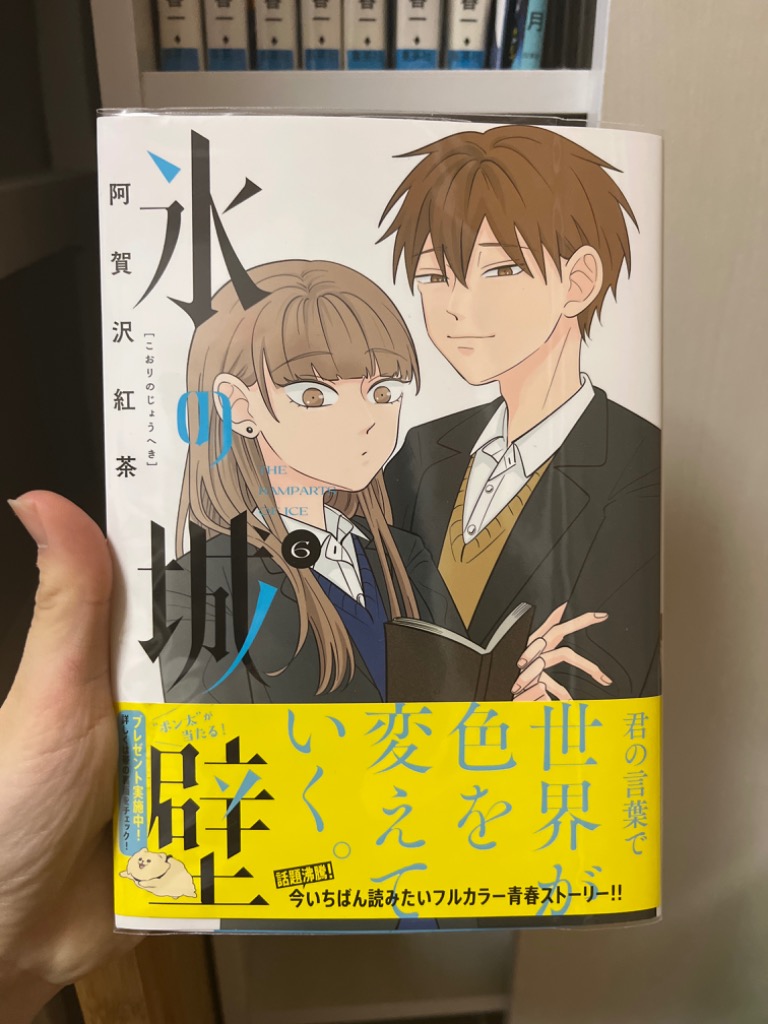 新品 / 氷の城壁 (1-14巻 全巻) 全巻セット : 漫画全巻ドットコム