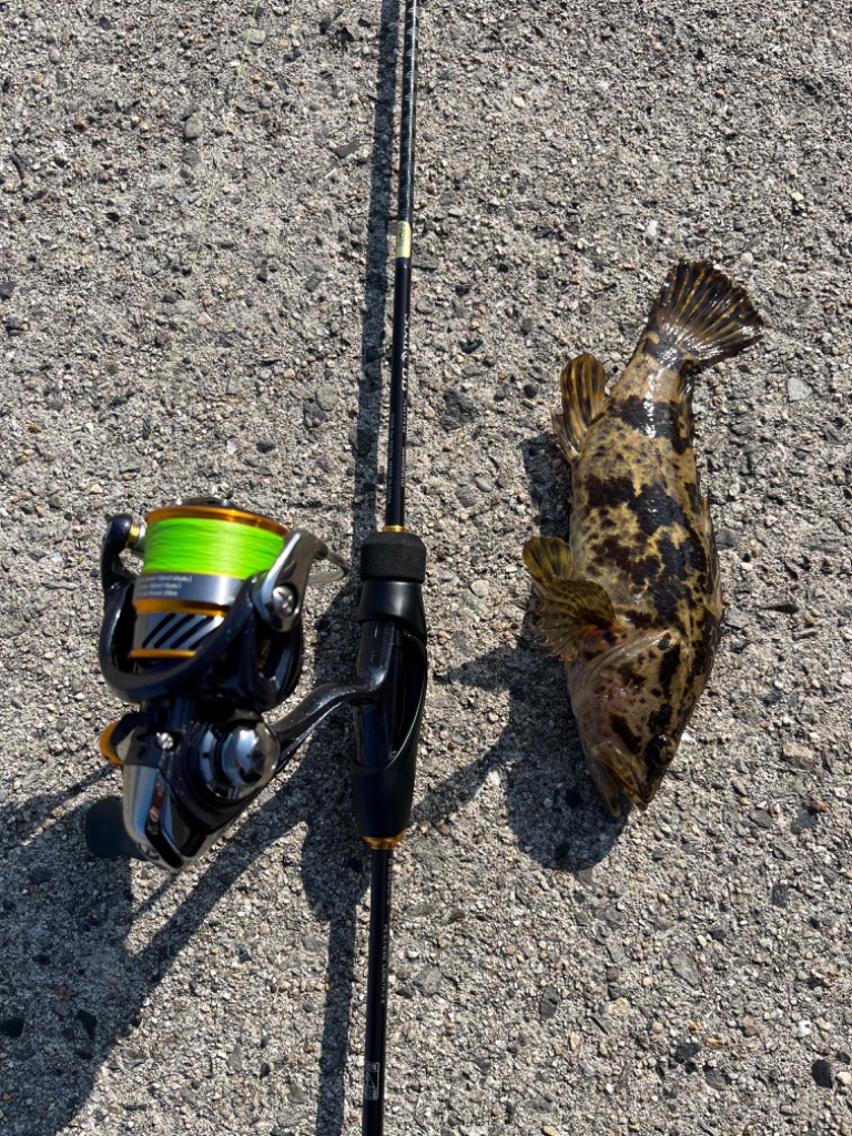 シマノ 23 ソアレ BB アジング S58UL-S SoaRe アジングロッド - 最安値