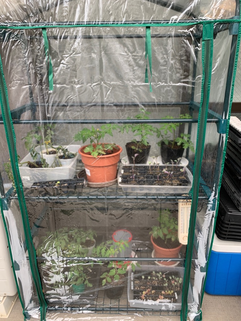 昭和精機工業 パネルヒーター 250W サーモスタット付 SPE-250 [園芸