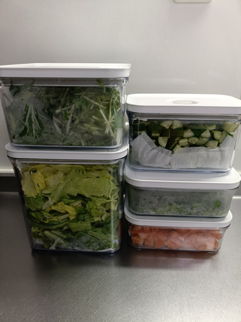 VAKUEN プレミアム真空保存容器&全自動食品シーラー機スターター