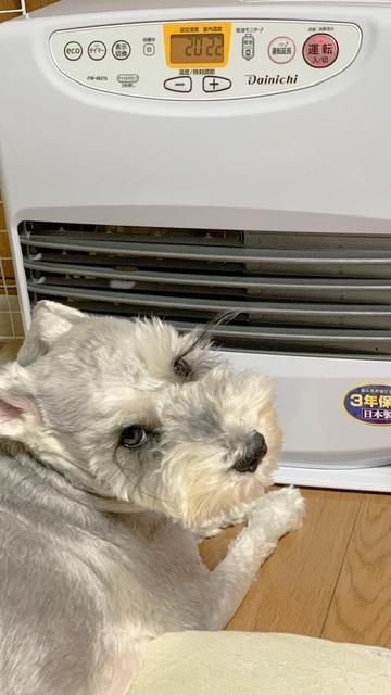 ダイニチ（Dainichi） ダイニチ工業 家庭用 石油ファンヒーター ムーン