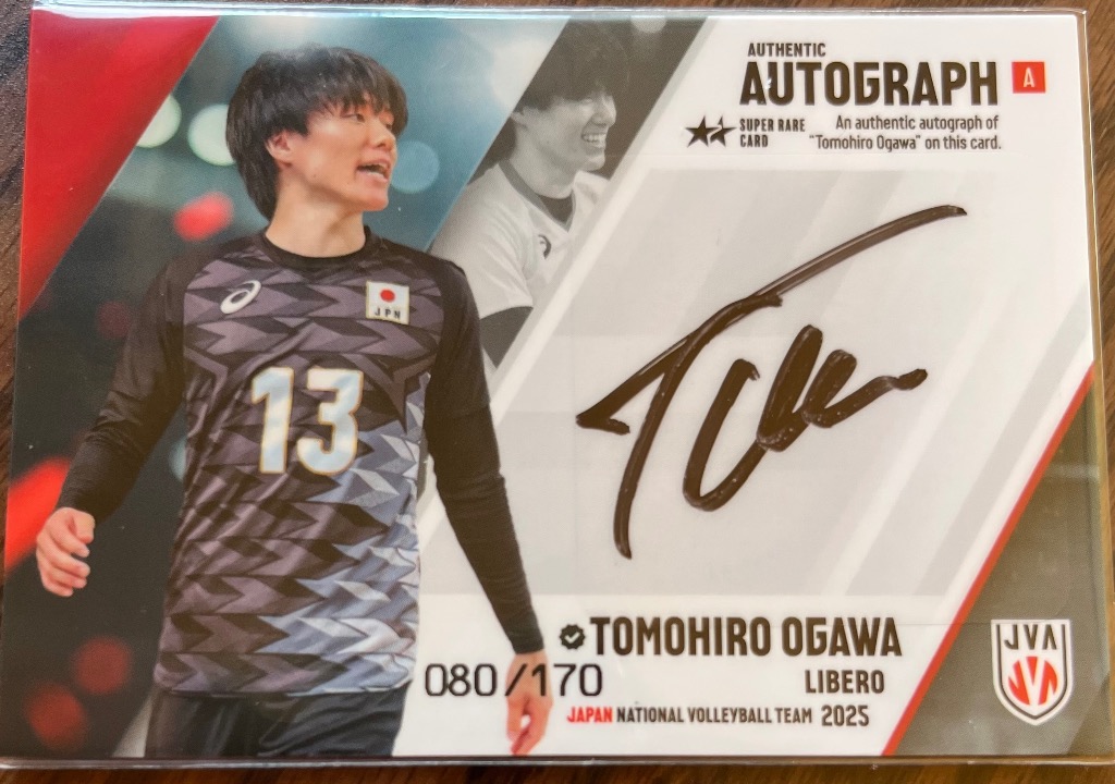 バレーボール男子日本代表2025」トレーディングカード BOX（送料無料