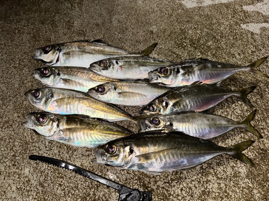 Gamakatsu ラグゼ 宵姫 華弍 S57UL＋-solid LUXXE アジングロッド - 最