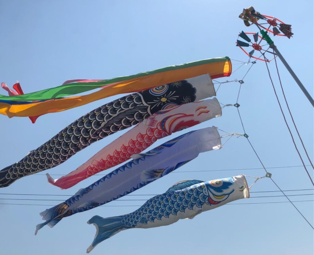 鯉のぼり 庭園用 こいのぼり 交換用矢車 5m 鯉のぼり用 : 節句&ギフト