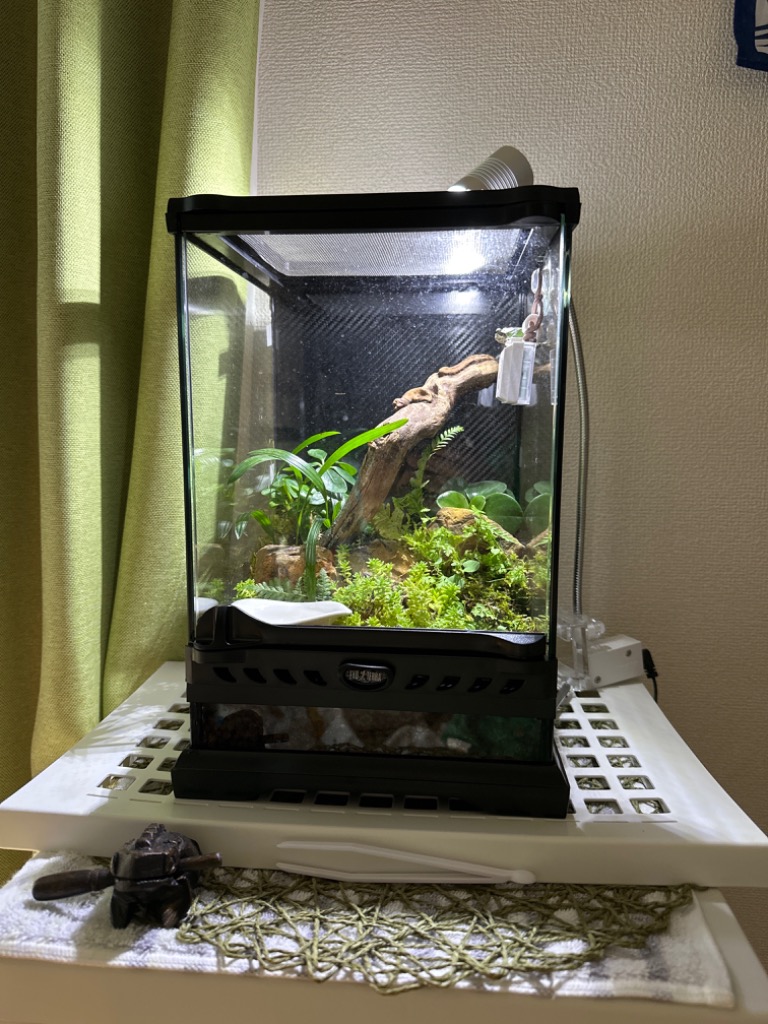 ジェックス エキゾテラ グラステラリウム ナノ - 最安値・価格比較