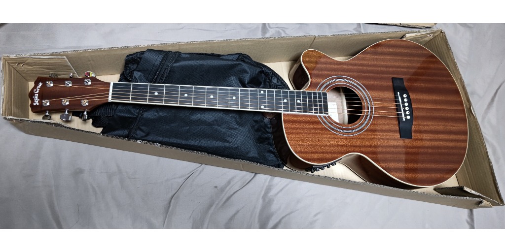 エレアコ Sepia Crue EAW-01 単品〔ソフトケース、シールドケーブル