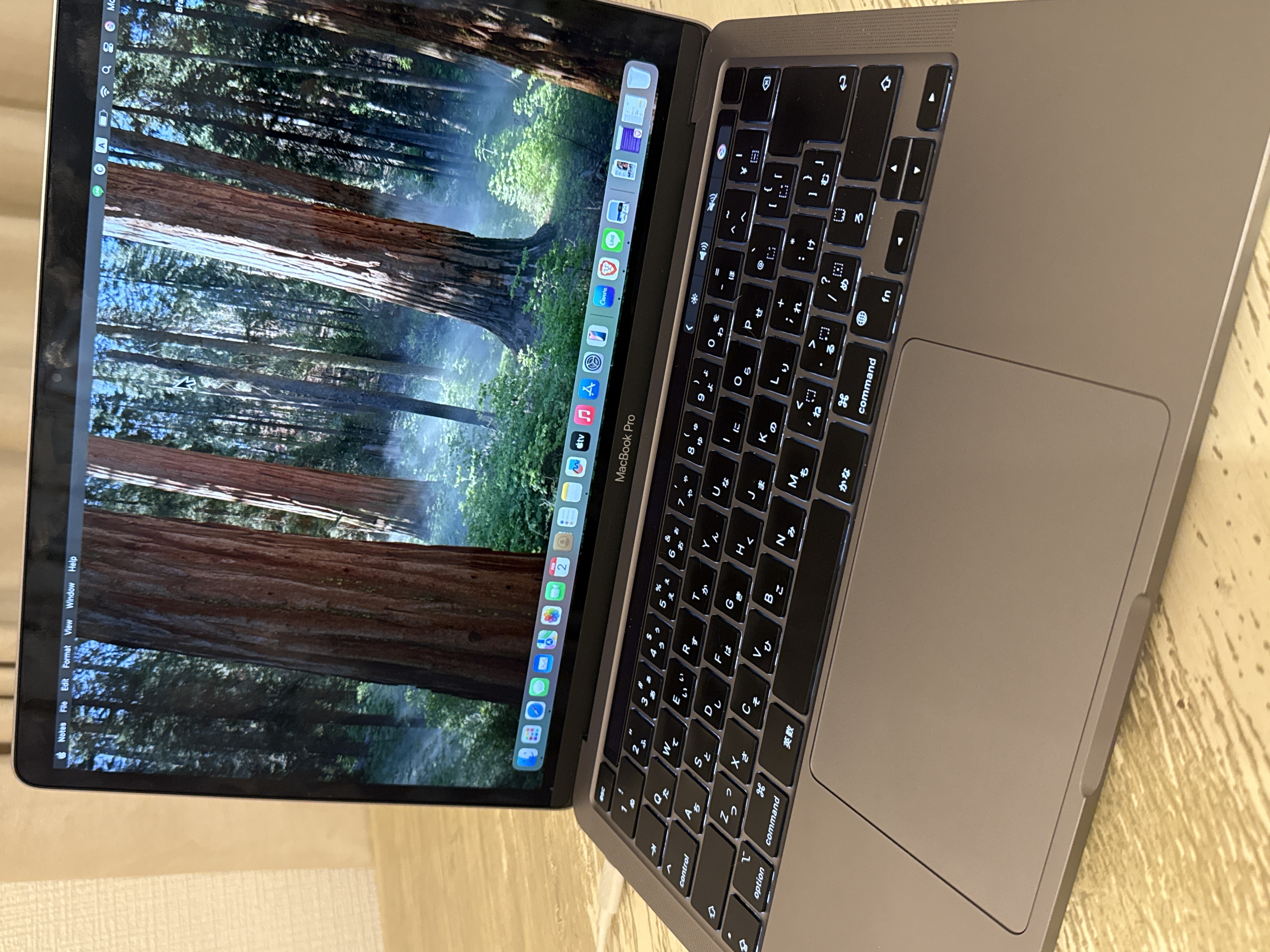 MacBook Pro 13 インチ (2022) - Apple M2 8-コア と 10-コア GPU