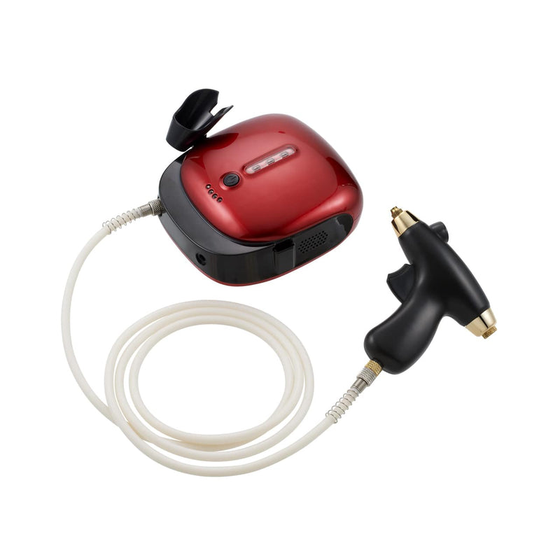 REVI スプレーガン（陶肌セラム30本セット）