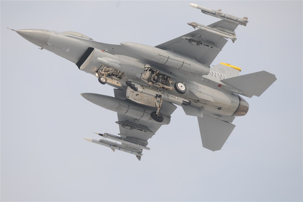 良い』 シグマ APO 150-500mm F5-6.3 DG OS HSM (ﾆｺﾝ用) ゴンタ君パパ