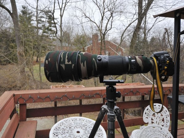 ニコン AI AF-S Nikkor ED 600mm F4D II (IF) (ブラック)投稿画像