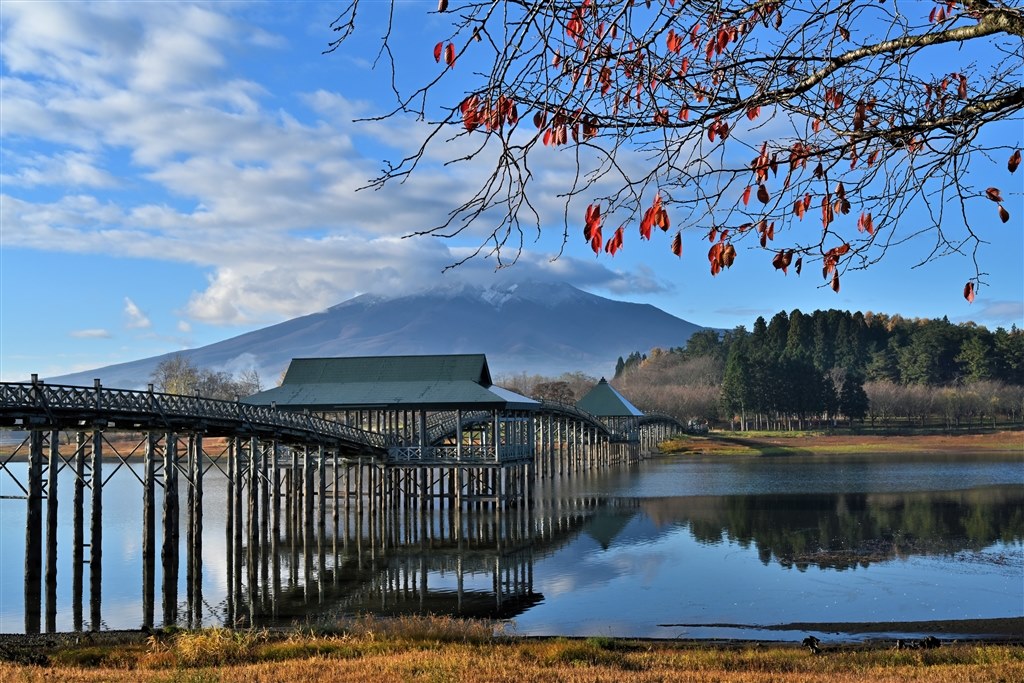 万能お散歩カメラ』 パナソニック LUMIX DC-TZ90-K [ブラック] めん