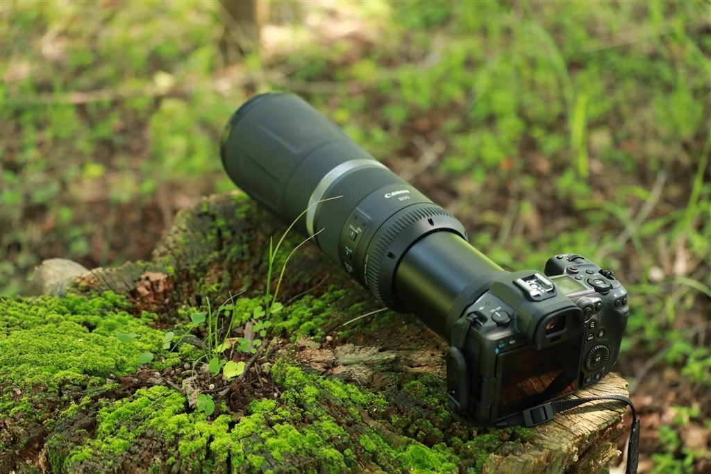 新しいコンセプト。新しい超望遠。』 CANON RF800mm F11 IS STM たかぴ