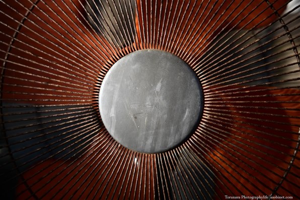 ニコン AI AF-S Zoom Nikkor ED 28-70mm F2.8D(IF) (ライトグレー)で