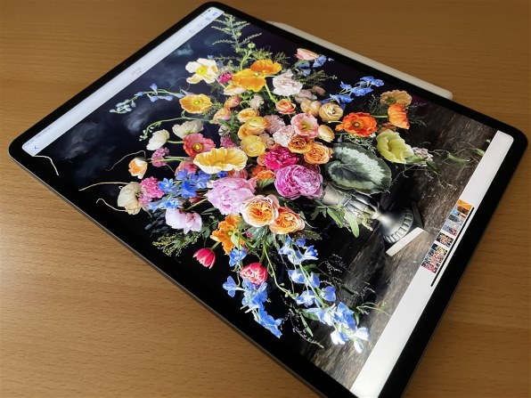 Apple iPad Pro 12.9インチ 第5世代 Wi-Fi 128GB 2021年春モデル投稿