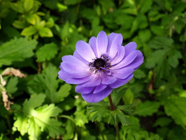 シグマ 19mm F2.8 DN シルバー [マイクロフォーサーズ用]で撮影された