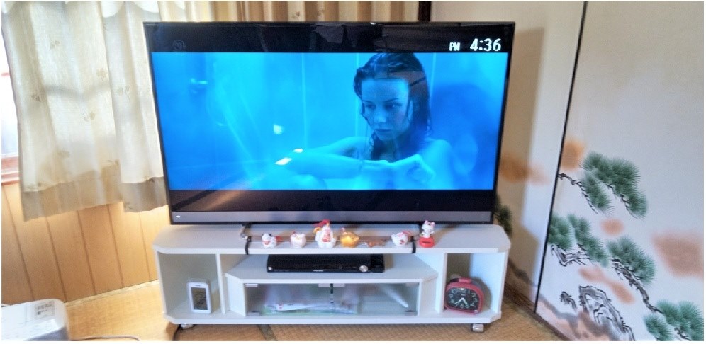 義兄宅、喜ばれてます』 東芝 REGZA 50M510X [50インチ] さるどし