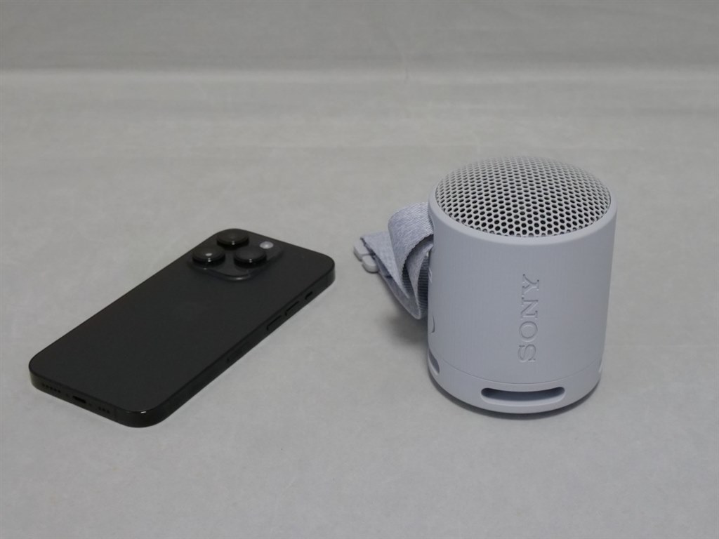 繊細さと重低音を兼ね備えたコンパクトモデル』 SONY SRS-XB100 (HC