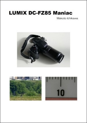 拡張性の高い高倍率ズームカメラ』 パナソニック LUMIX DC-FZ85 青乱雲