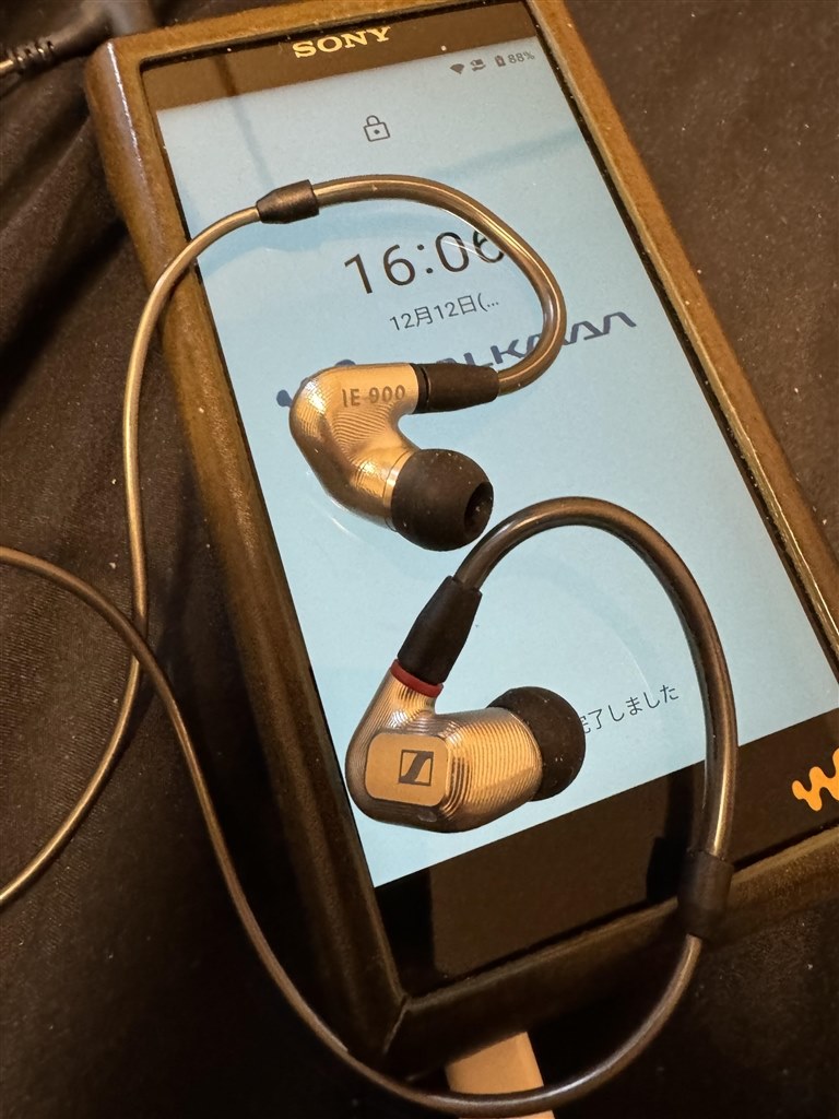 今の私の最高到達点！』 ゼンハイザー IE 900 kaaaazinoさんのレビュー