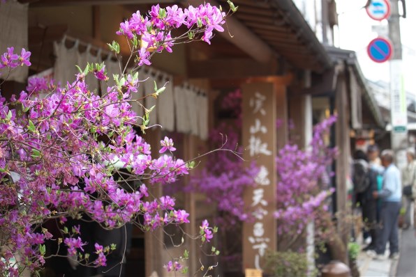 CANON EF-S55-250mm F4-5.6 IS STMで撮影された写真 (レビュー) - 価格.com