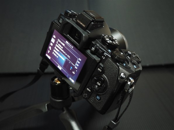 オリンパス OLYMPUS PEN Lite E-PL7 EZダブルズームキットで撮影された