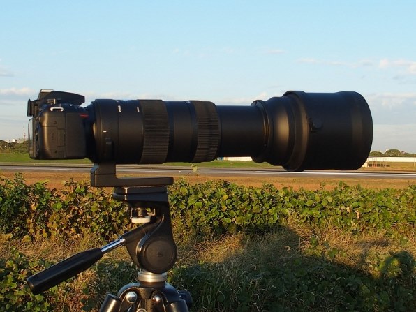 シグマ 150-600mm F5-6.3 DG OS HSM Sports [ニコン用] レビュー評価