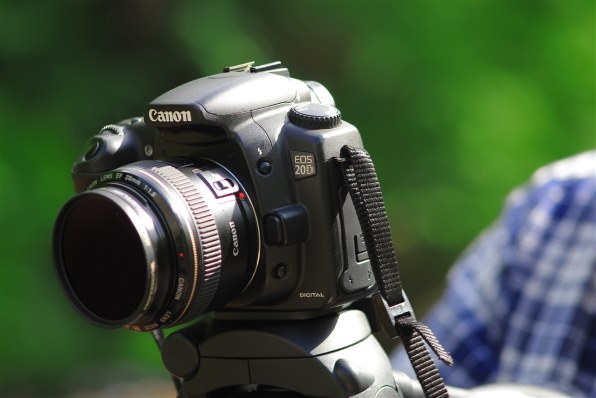 CANON EF75-300mm F4-5.6 III USM レビュー評価・評判 - 価格.com