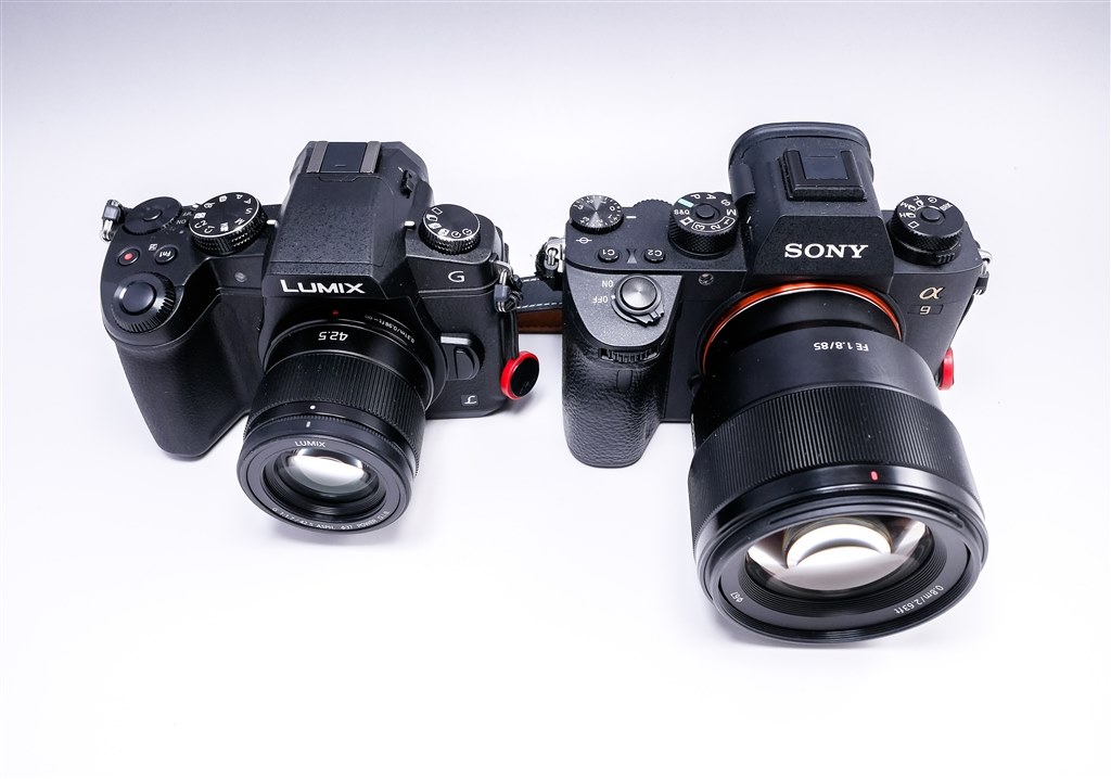 10万円以下の覇者』 パナソニック LUMIX DMC-G8 ボディ korokoromaru