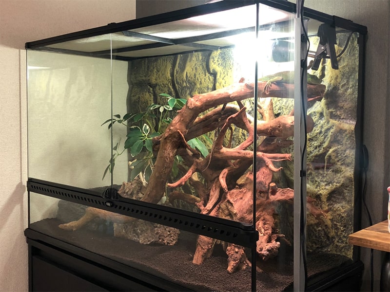 GEX製グラステラリウムの特徴を解説｜機能や使い勝手を徹底レビュー