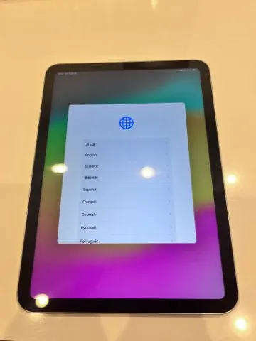 iPad(第10世代) 64BG セルラーモデル ジャンク（33811）¥10,000